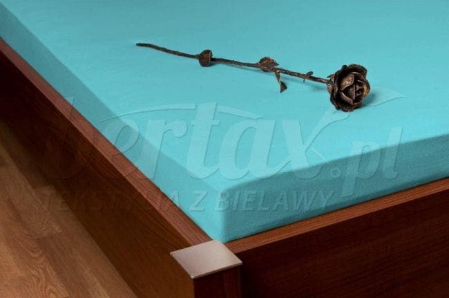 Prześcieradło Jersey z Gumką Seledynowe (19) 220x200 - zdjęcie 2